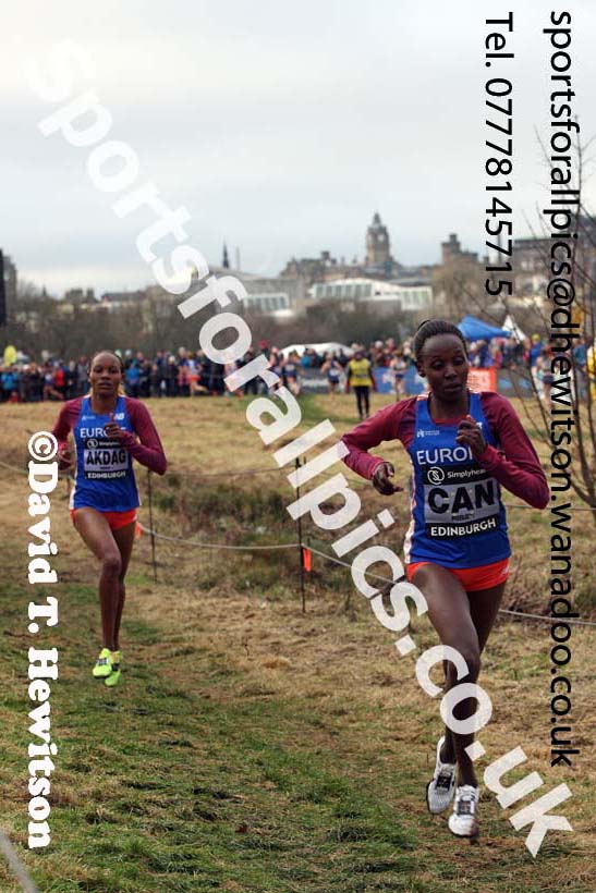 Senior womens Great Edinburgh Cross Country, 2017 Great Edinburgh Cross Country. Photo: David T. Hewitson/Sports for All PIcs